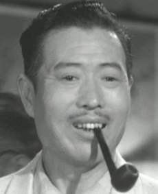 井淼个人资料,才华横溢的演员，演艺事业的多面手