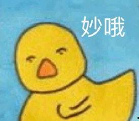 向前冲的表情包,向前冲表情包背后的精神力量